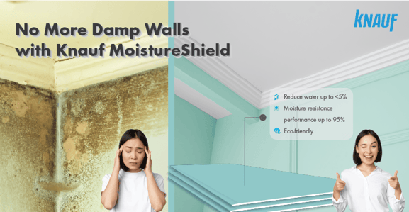 MS Article - No More Damp Walls